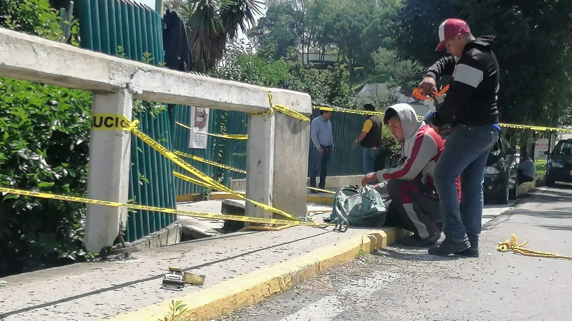 puente vial jardín botánico (5)